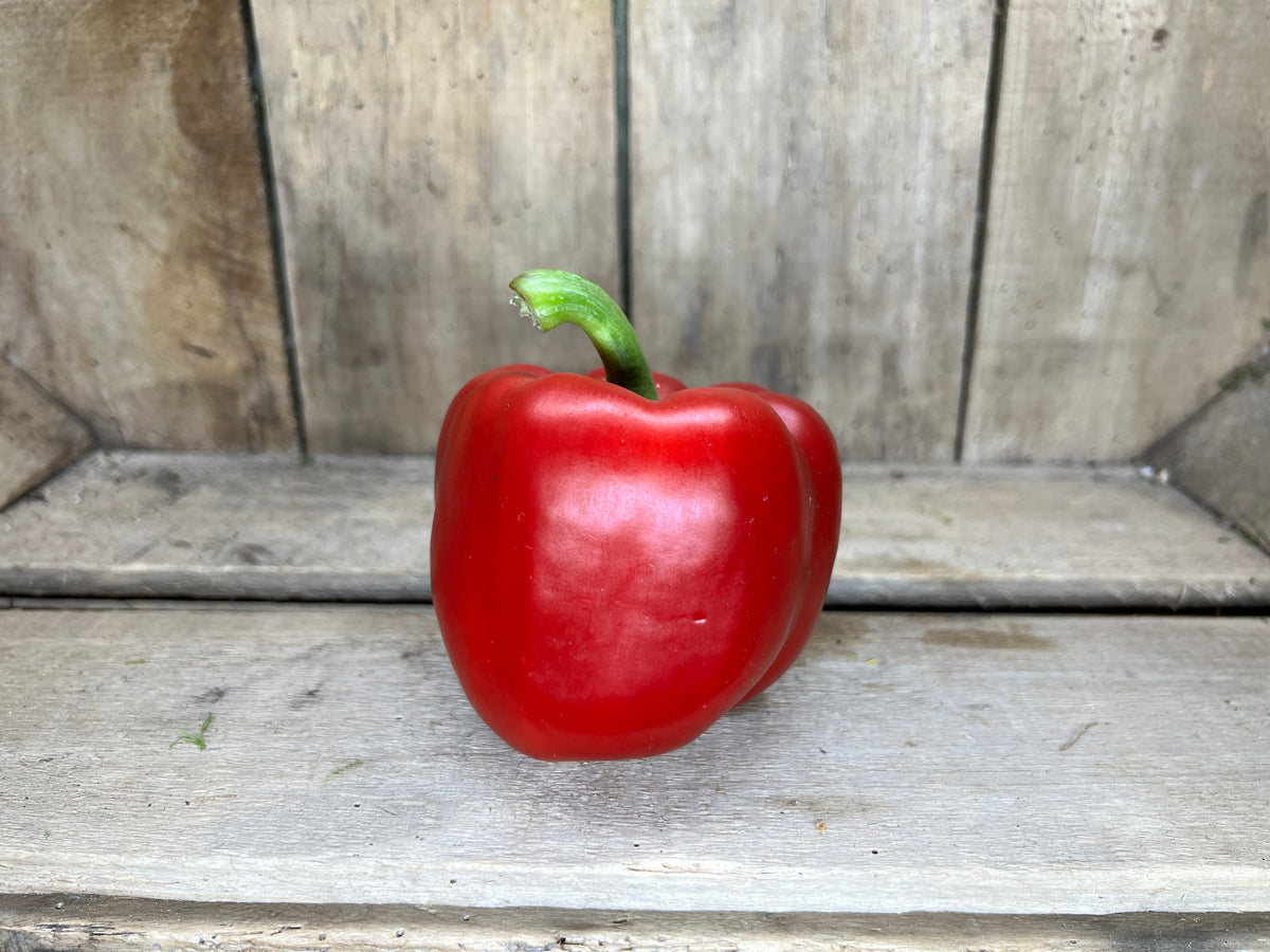 Red Pepper Jones Farm Shop