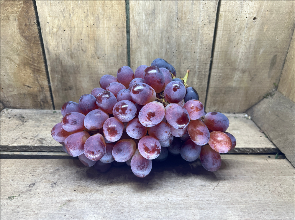 Punnet Red Grapes (500g)