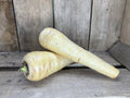 Parsnips