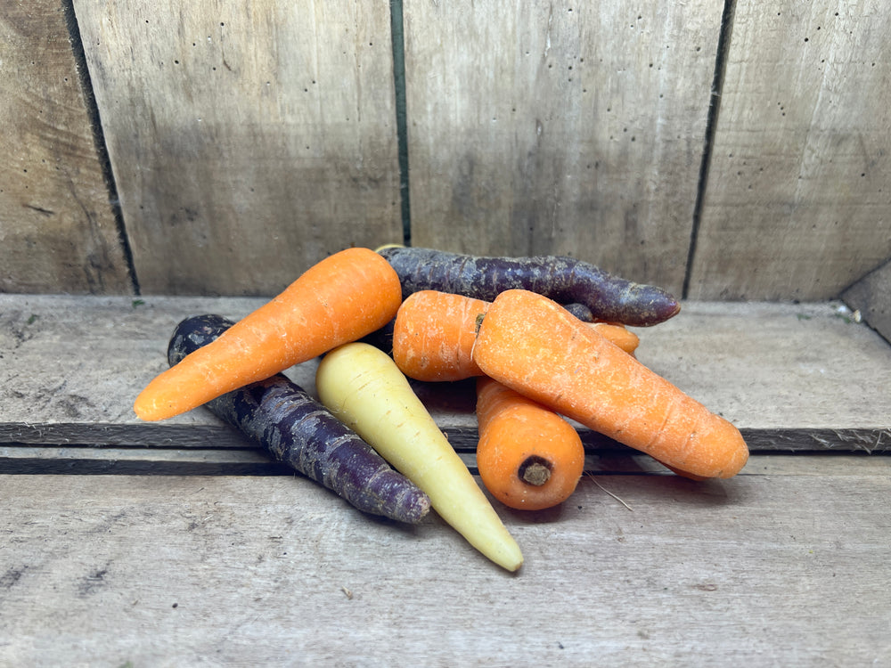 Rainbow Chantenay Carrots