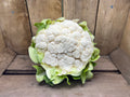 Cauliflower