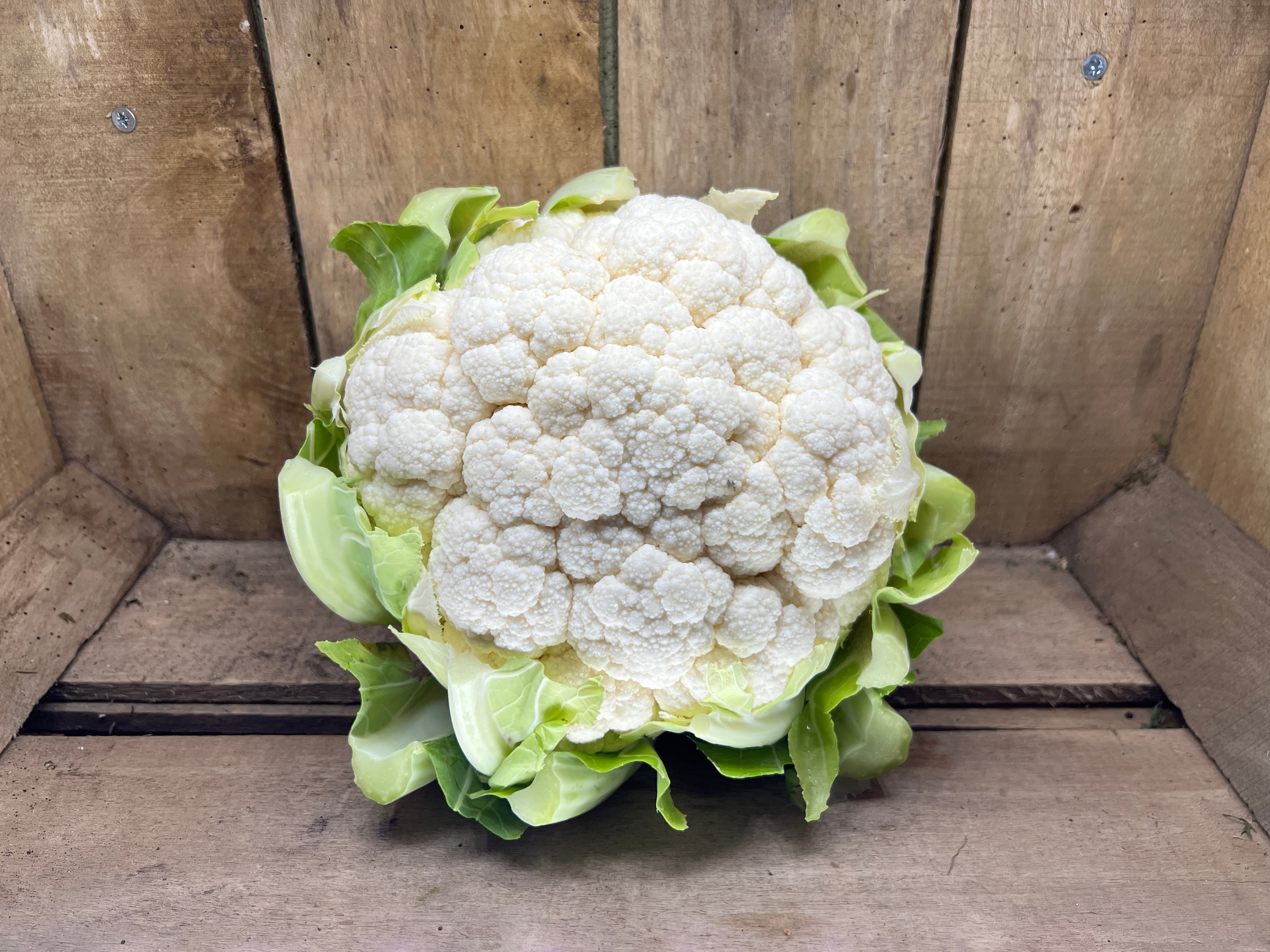 Cauliflower
