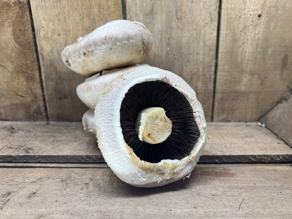 Large Breakfast Mushrooms