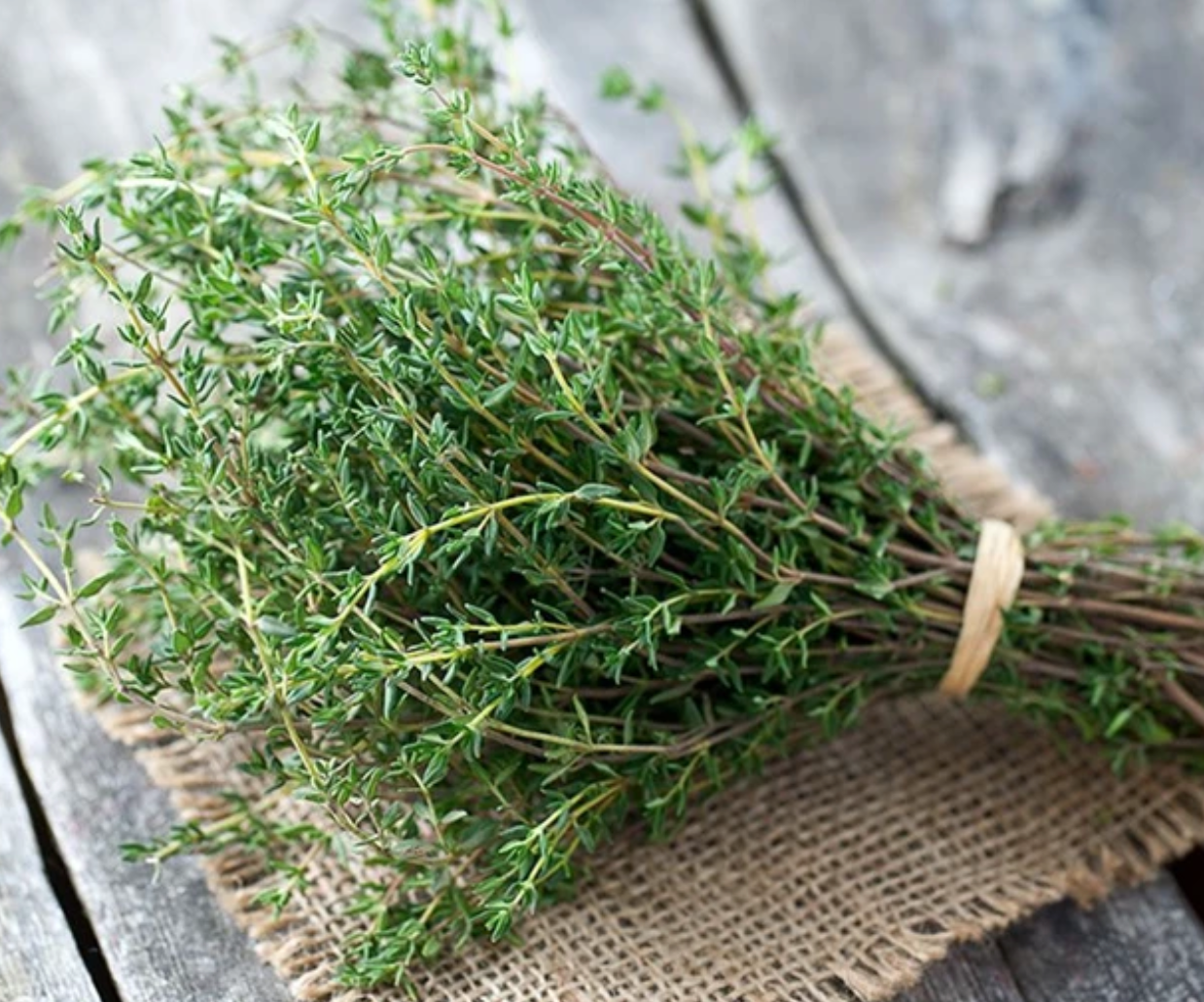 Thyme (30g)