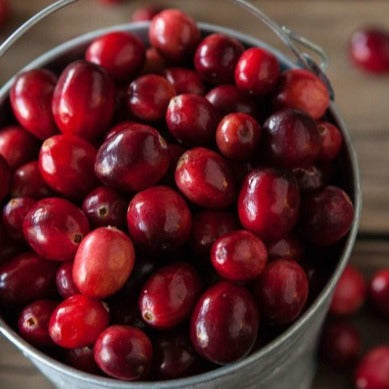 Fresh Cranberries